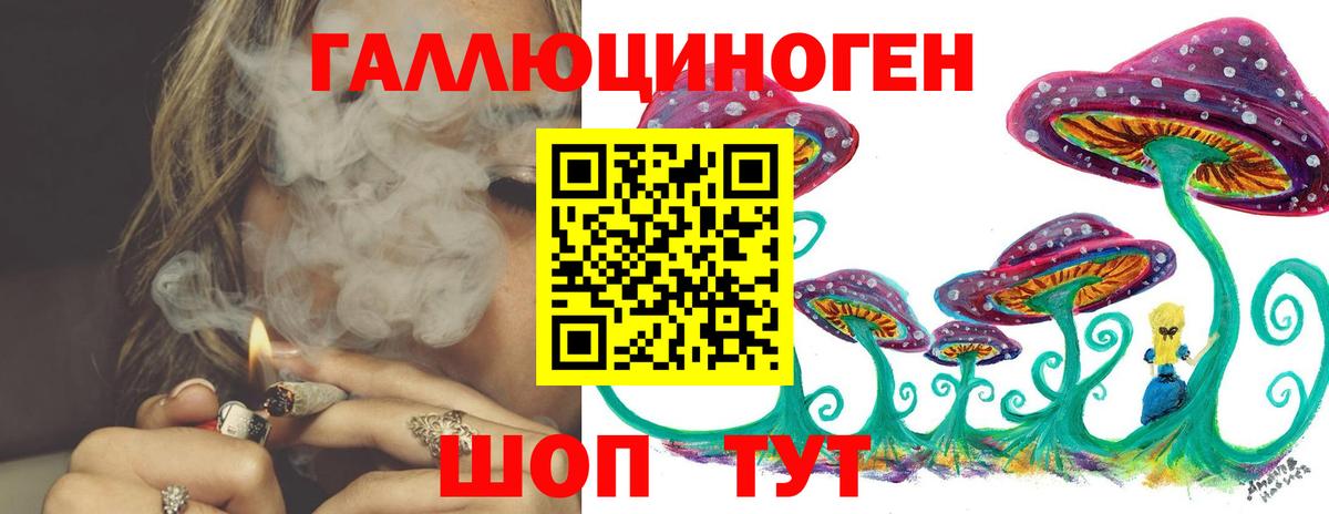 Псилоцибиновые грибы мицелий  купить закладку  Гурьевск  Галлюциногенные грибы ЛСД  Вход с VPN 